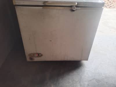 D freezer