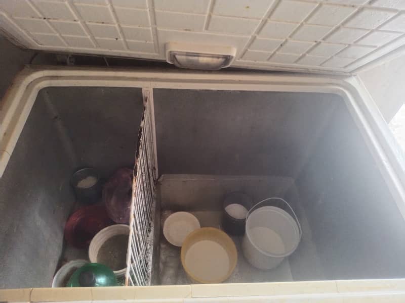 D freezer 1