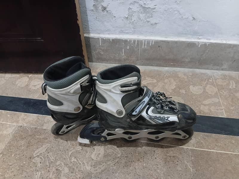 skating shoes 2