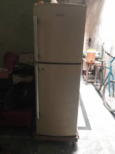 Electrolux refrigerator for sale