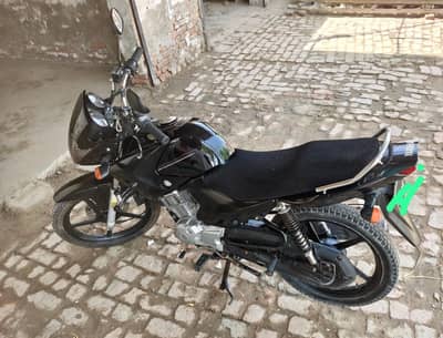 YBR 125 2016