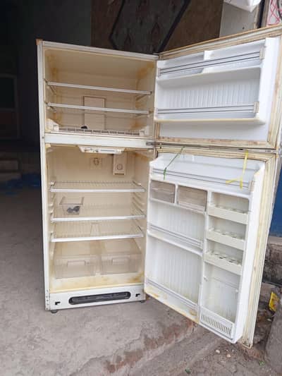 Delite Full Size Refrigerator – Used – Good Condition