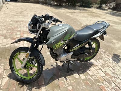YBR special Addition