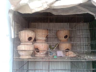 i am selling iron cage contact 03422956864