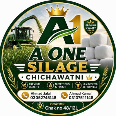 Fresh Corn Silage Available, 03052745148