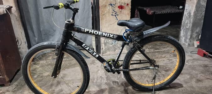 phoenix