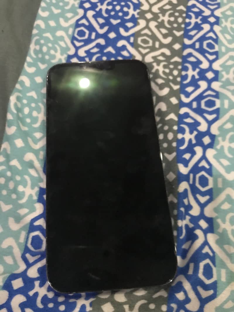 Apple iPhone 13 Pro Max 1