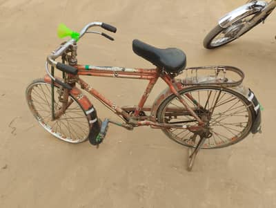 shorab japni cackle 16 inches for sale 03451400338 03464952094