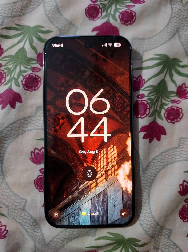 Google Pixel 9 Pro PTA 1