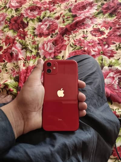 Apple iPhone 11