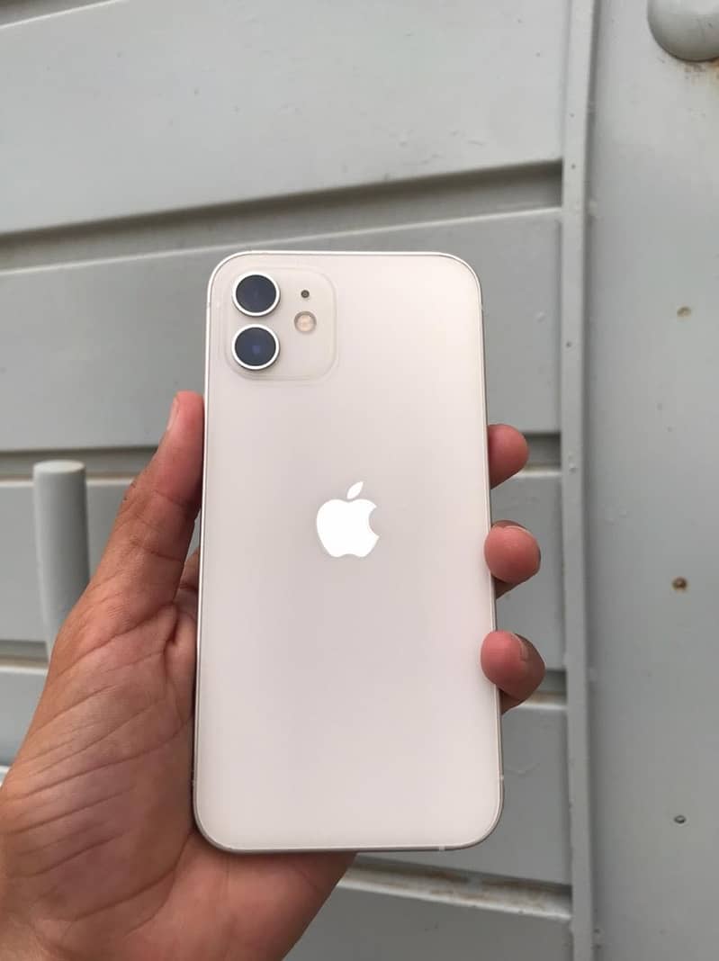Apple iPhone 12 1