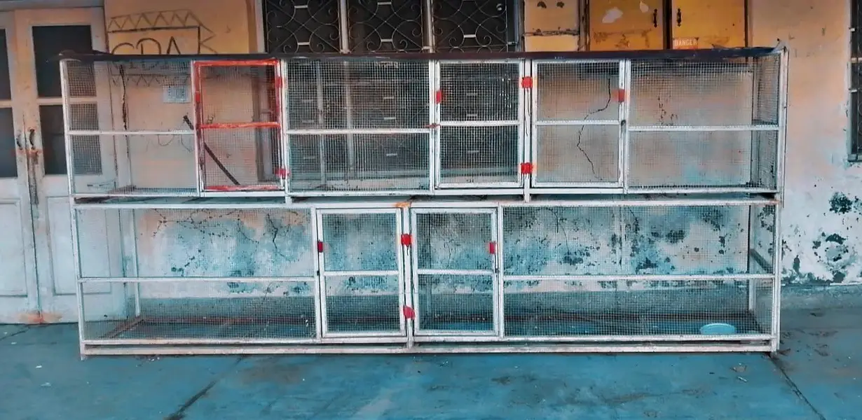 Heavy-Duty 5-Portion Iron Cage — For Sale — photo 2