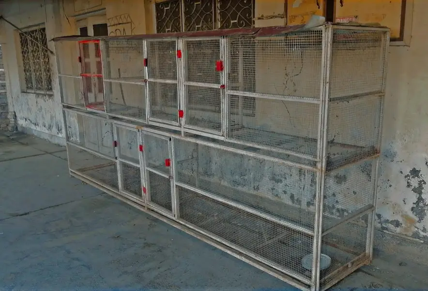 Heavy-Duty 5-Portion Iron Cage — For Sale — photo 3