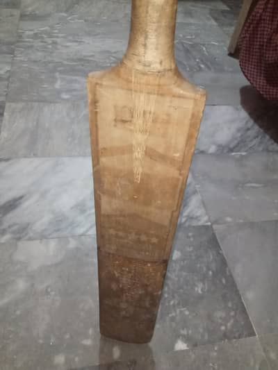 SG bat for sale