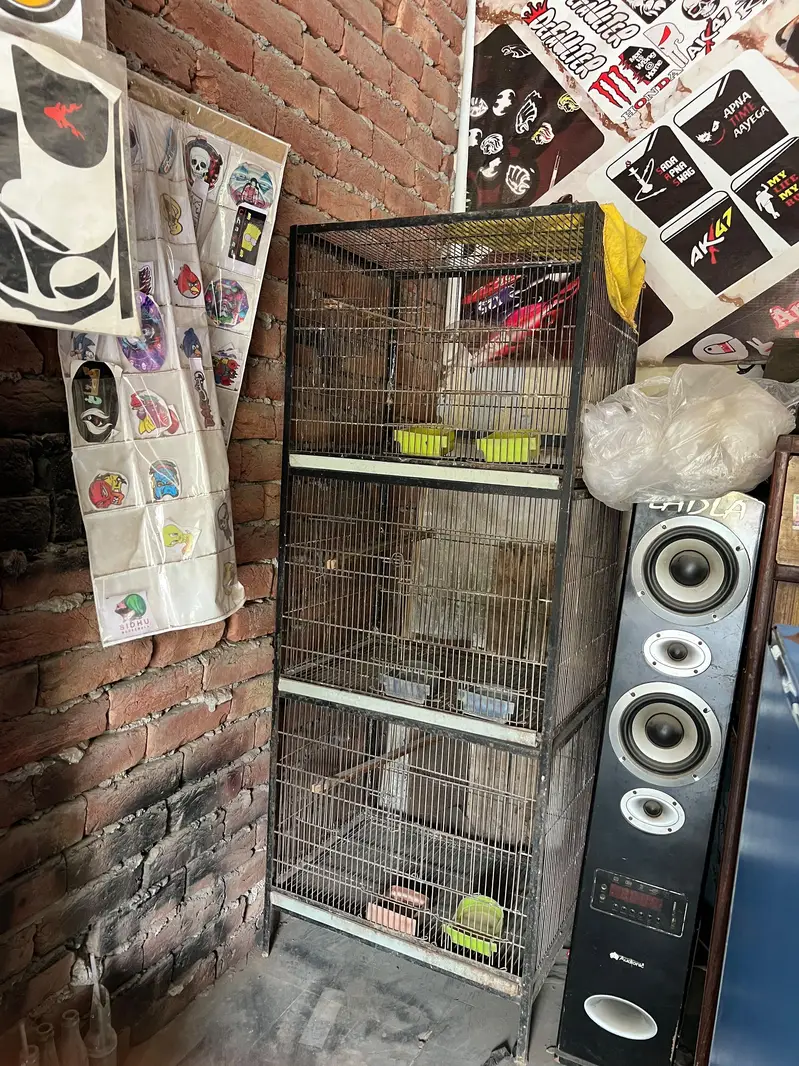 cage for birds