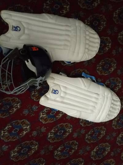 Helmet and CA pads