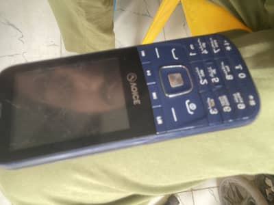 VOICE Other Model