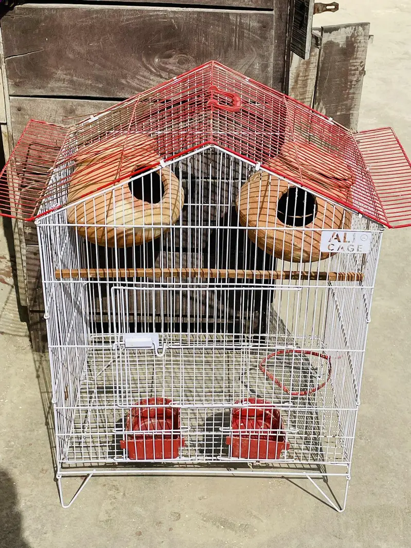 Bird Cage with 2 Clay Nesting Pots