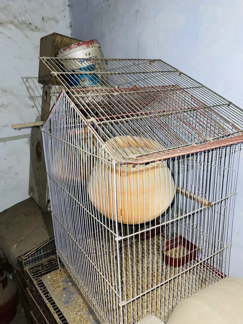 Bird Cage with 2 Clay Nesting Pots — photo 4