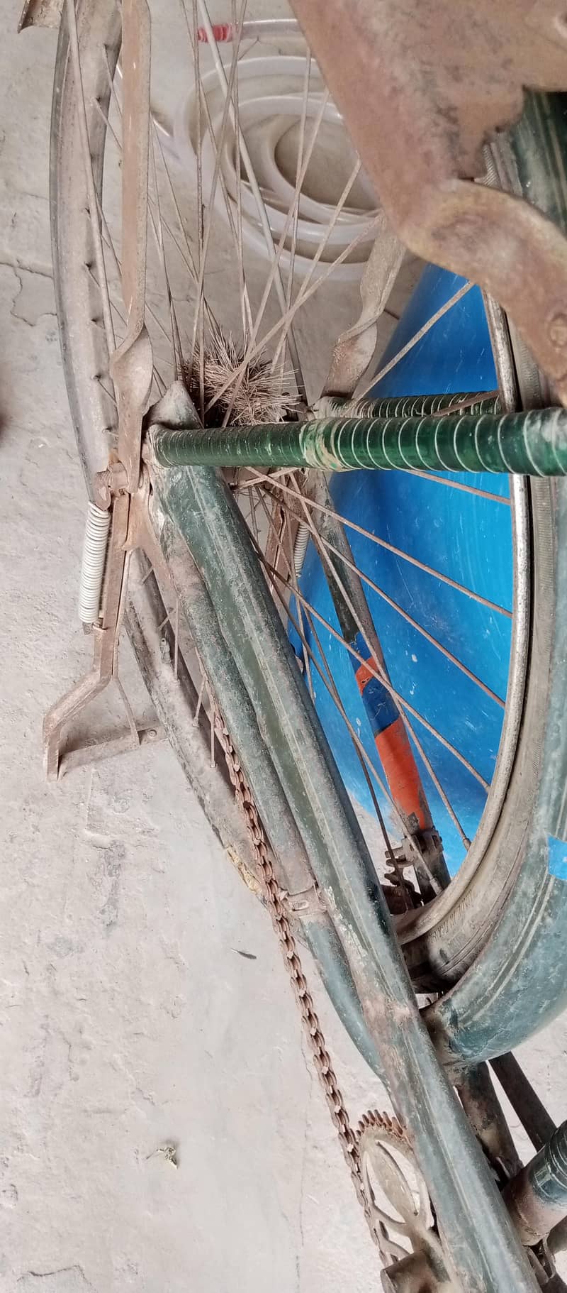 bicycle 5