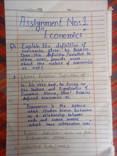 Professional economics assignment work