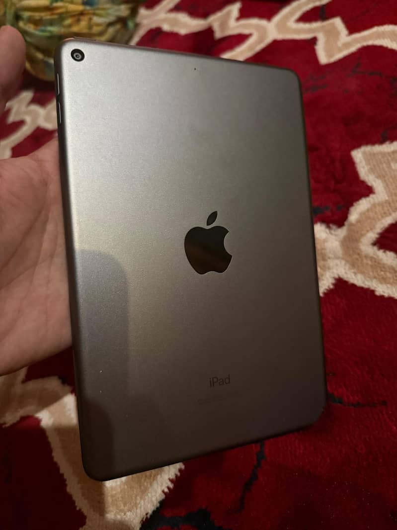 Ipad Mini 5 Gray 0