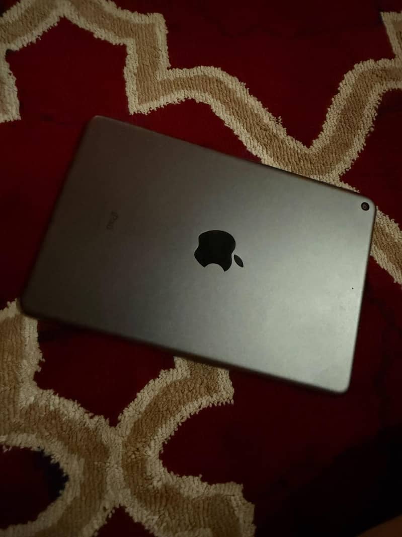 Ipad Mini 5 Gray 1