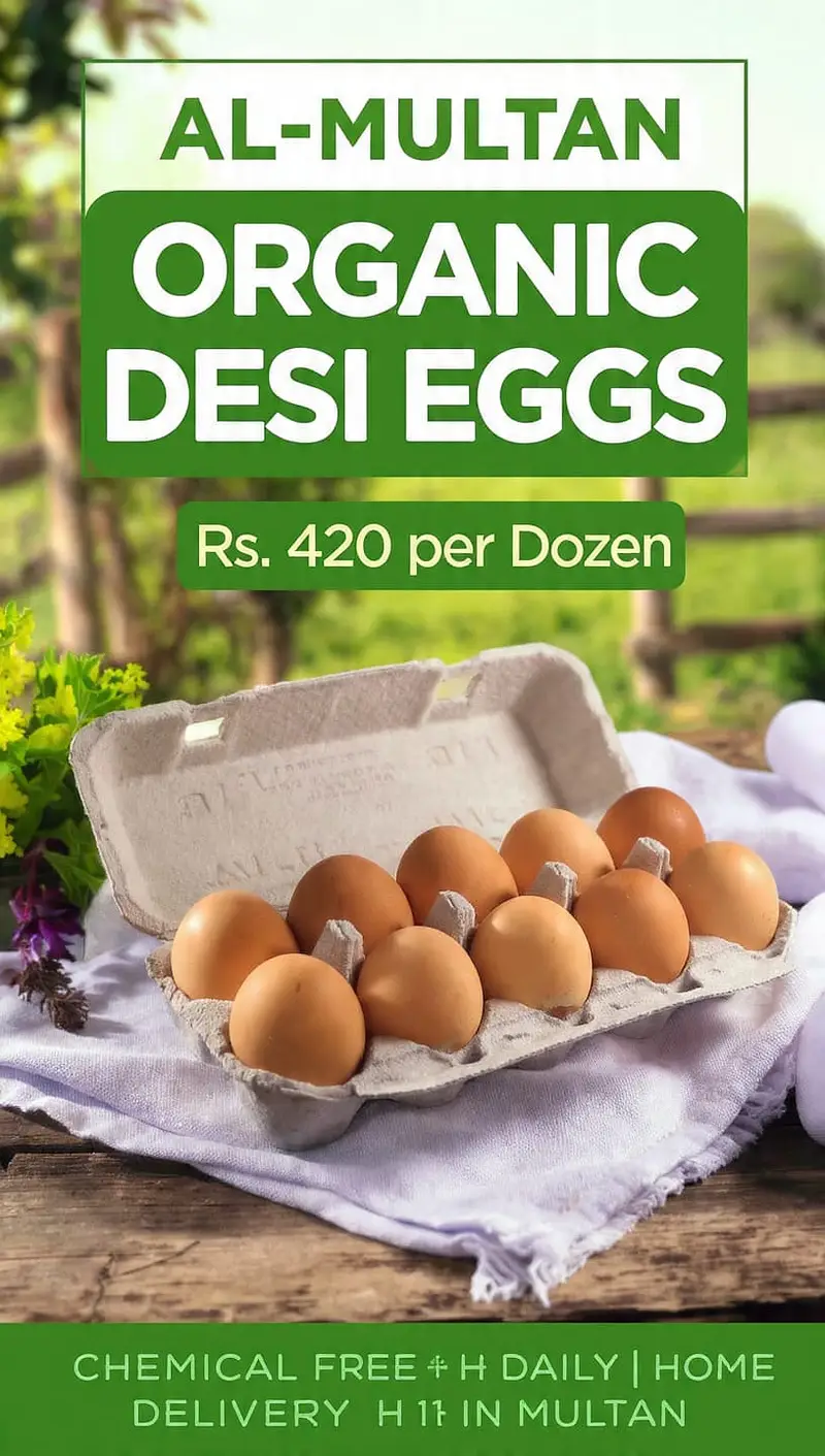 DEsi Eggs — photo 4