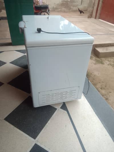 urgent sale contact on watsap 03126486808