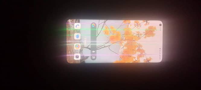 One Plus 9 Pro
