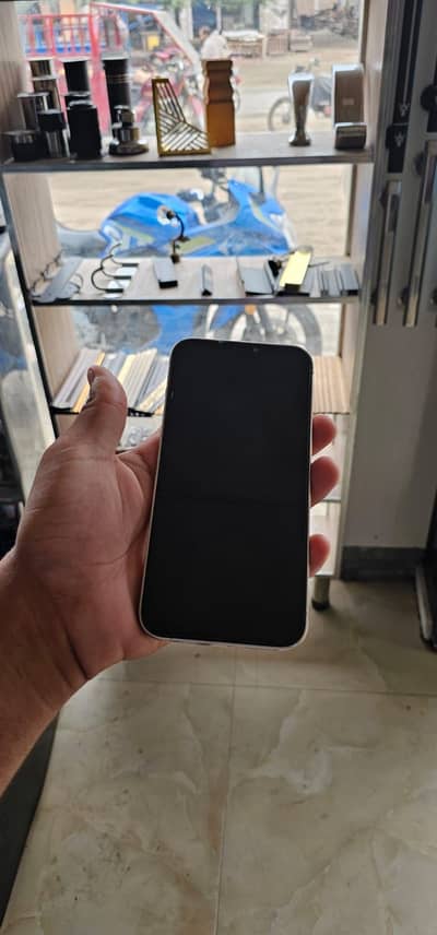 Apple iPhone 12 Pro Max
