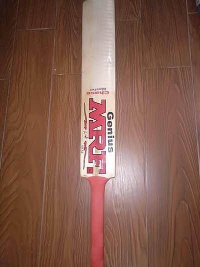 cricket bat