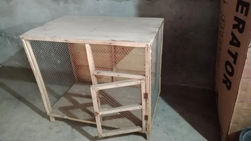 Pinjra for sale — photo 3