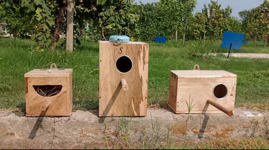 breeding boxes
