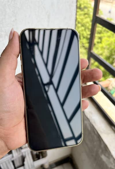 Apple iPhone 13 Pro