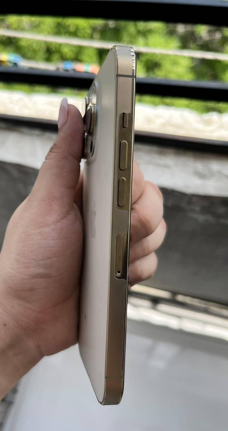 Apple iPhone 13 Pro 2