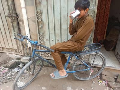 cycal for sale