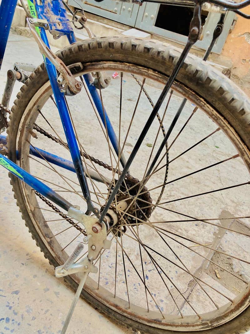 phonex cycle 4