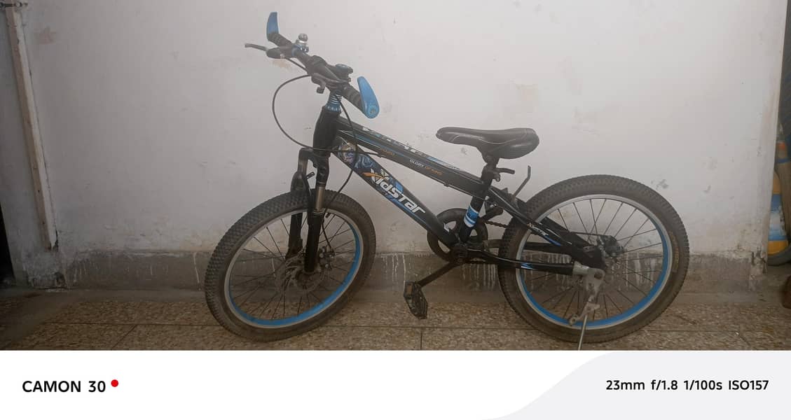 Bicycle 1
