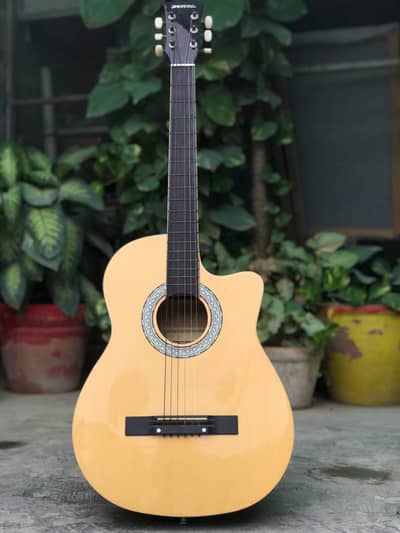 Acoustic Guitar