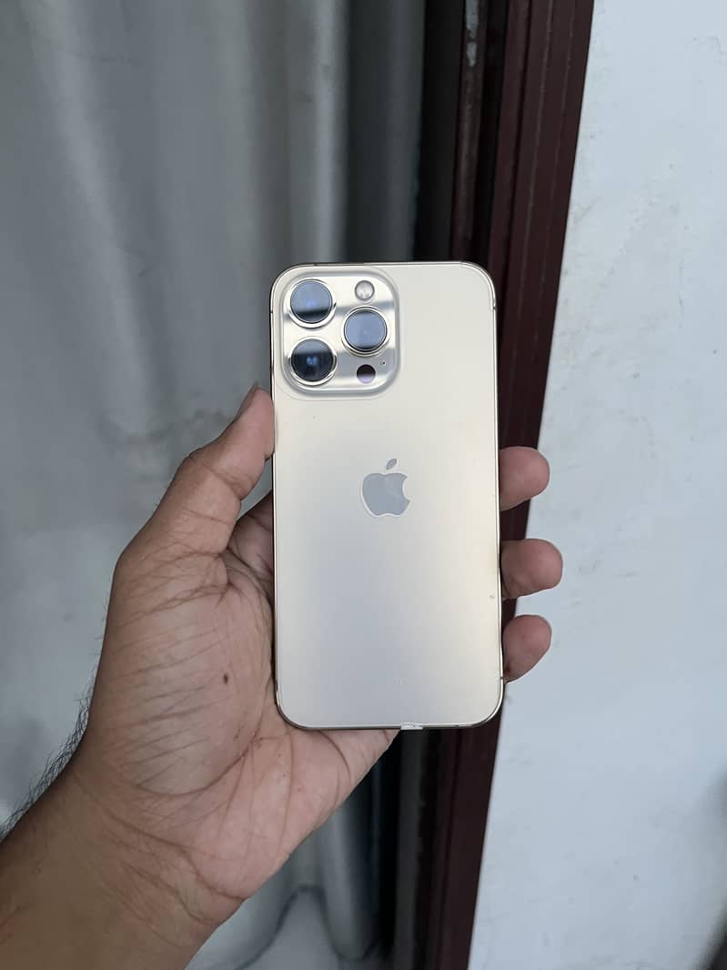 Apple iPhone 13 Pro 1
