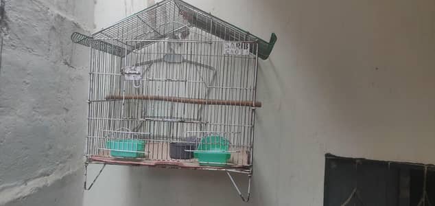 cages for sale