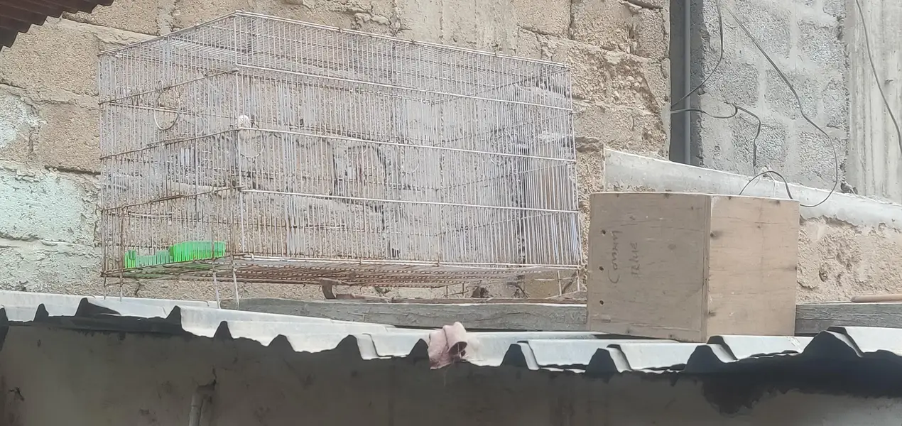 cages for sale — photo 3