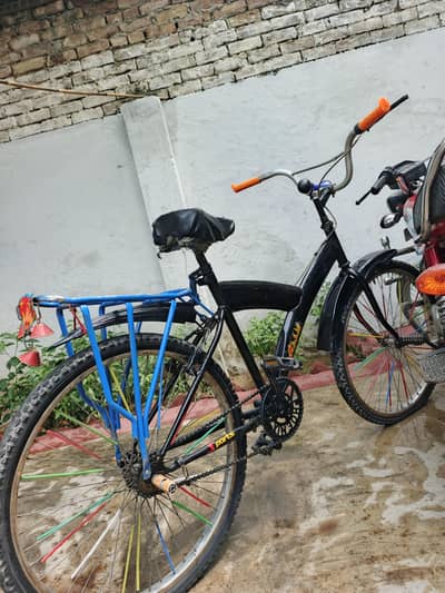 Cycle Full Size Counting