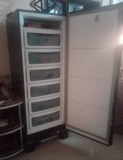 Dawlence Vertical Freezer || Invertor Technology || Urgent Selling