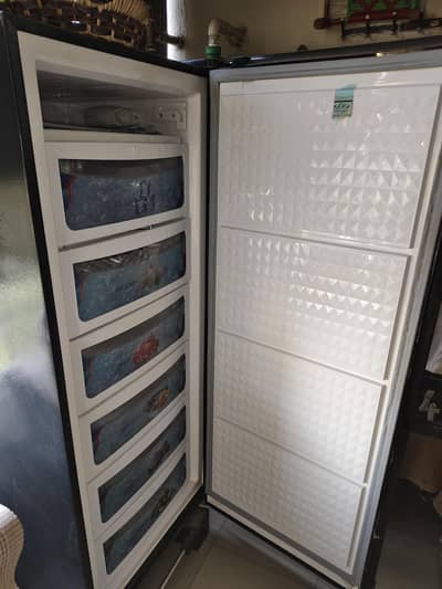 Dawlence Vertical Freezer || Invertor Technology || Urgent Selling