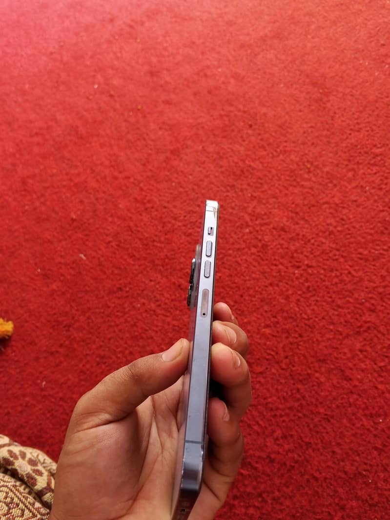 Apple iPhone 13 Pro Max 2