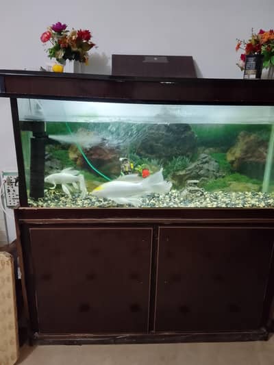 Fish aquarium with two full size gold fish