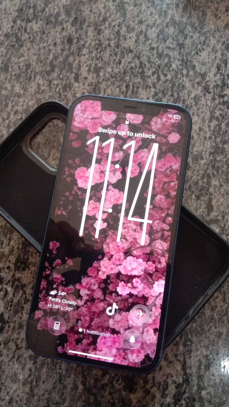 Apple iPhone 12 1