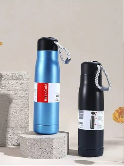 Stainless Steel Thermos Bottle with Handle Dori